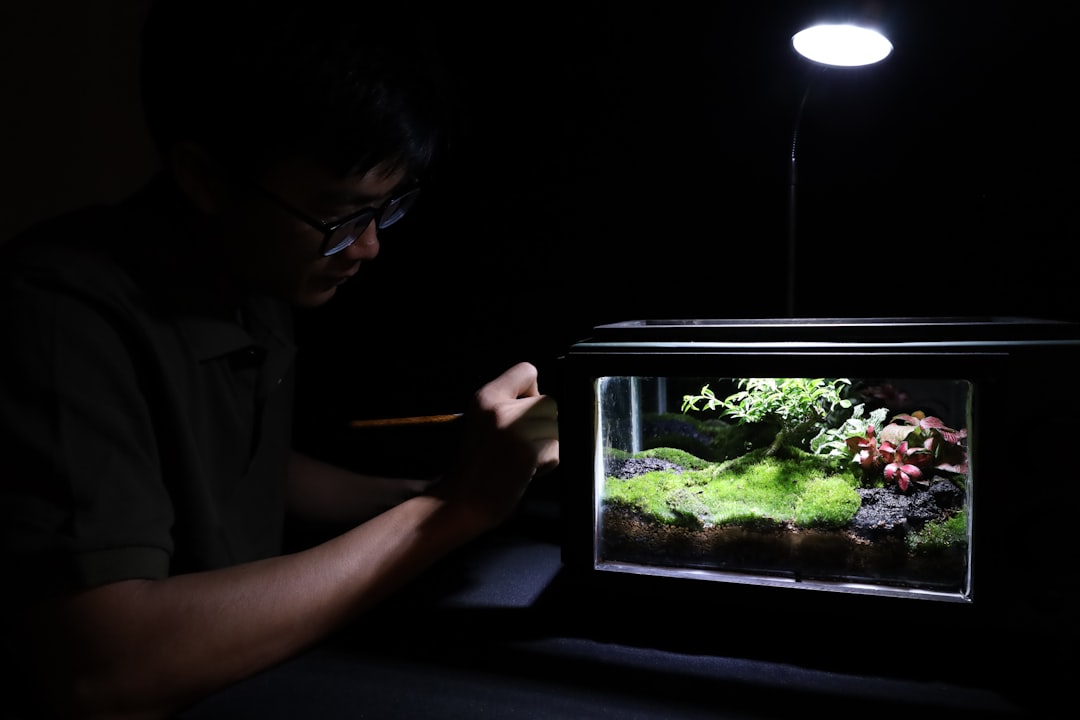 Photo Aquarium setup