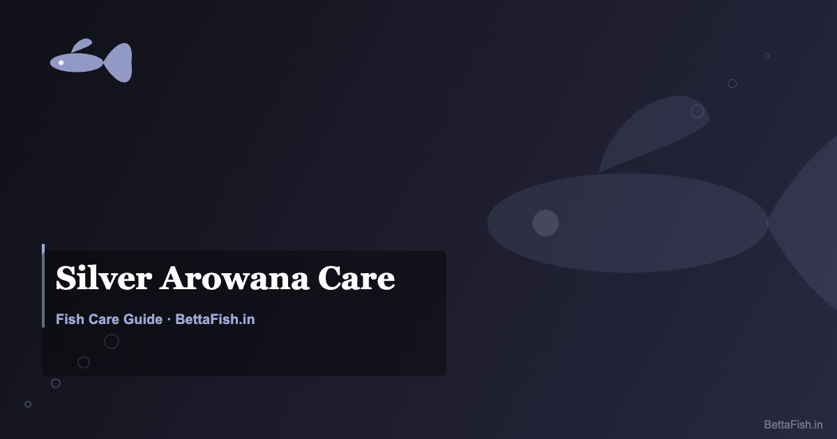 Silver Arowana Care Guide — Tank Size, Feeding & Health (2026)